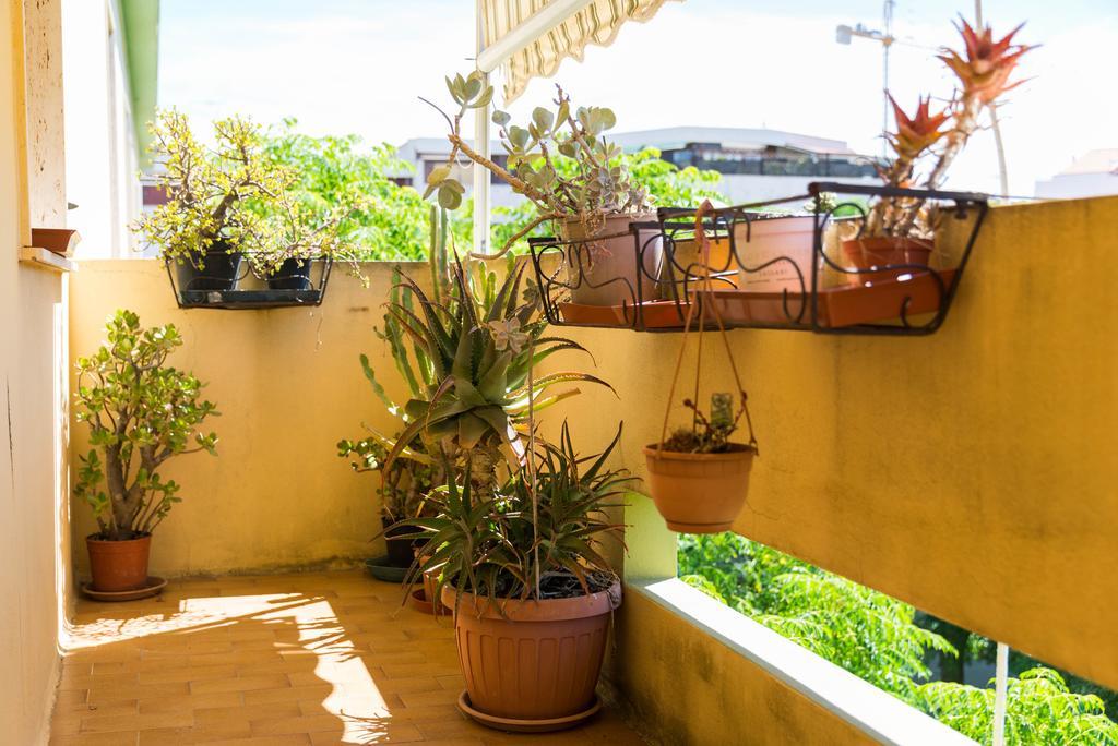 Sa Mama E Su Sole Apartment Alghero Exterior photo
